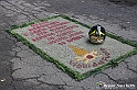 VBS_9669 - Infiorata di Villanova d'Asti 2023